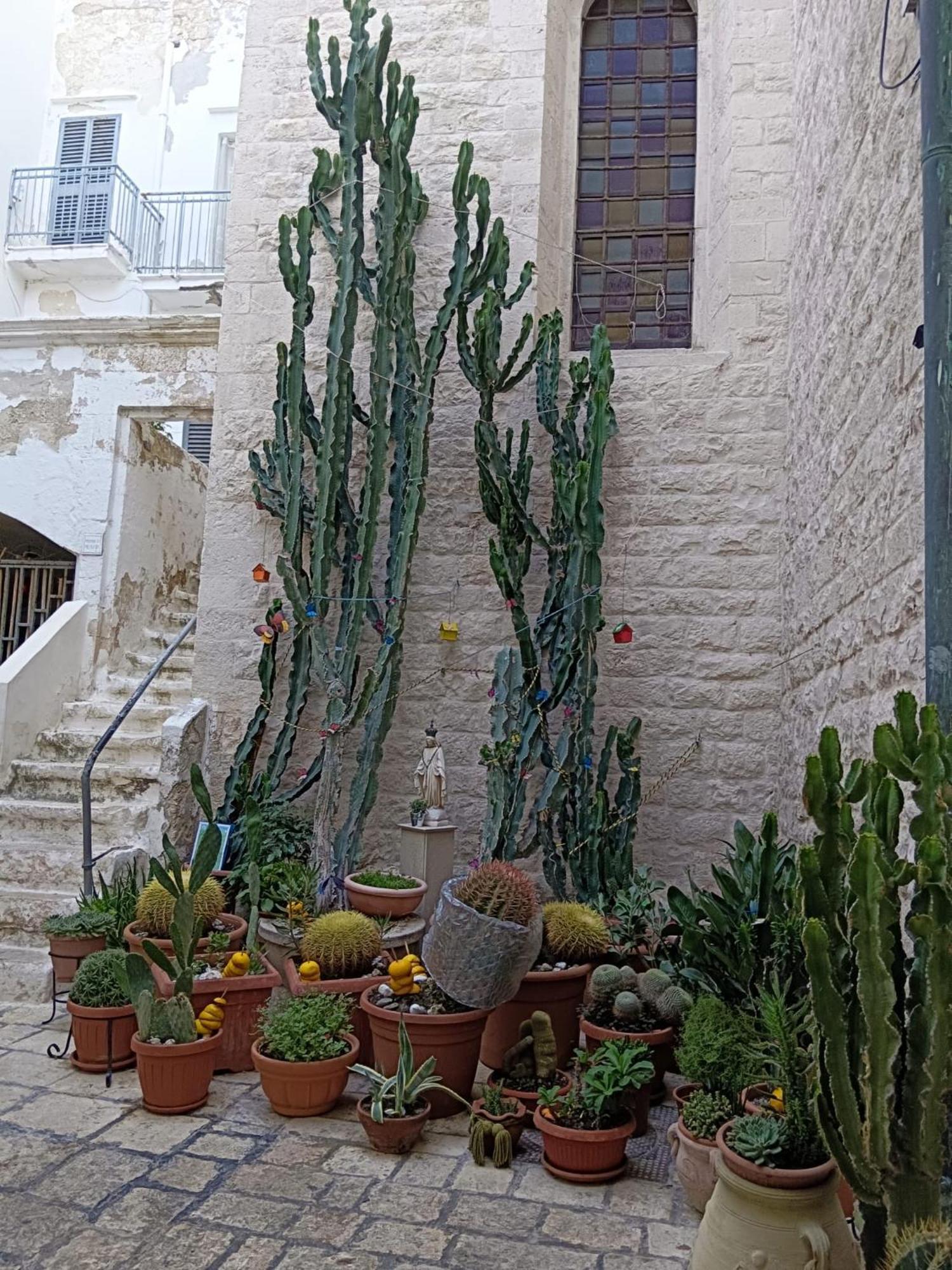 Palazzoliva - Luxury Boho Chic Guest House In The Historic Heart Of Martina Franca Exterior foto